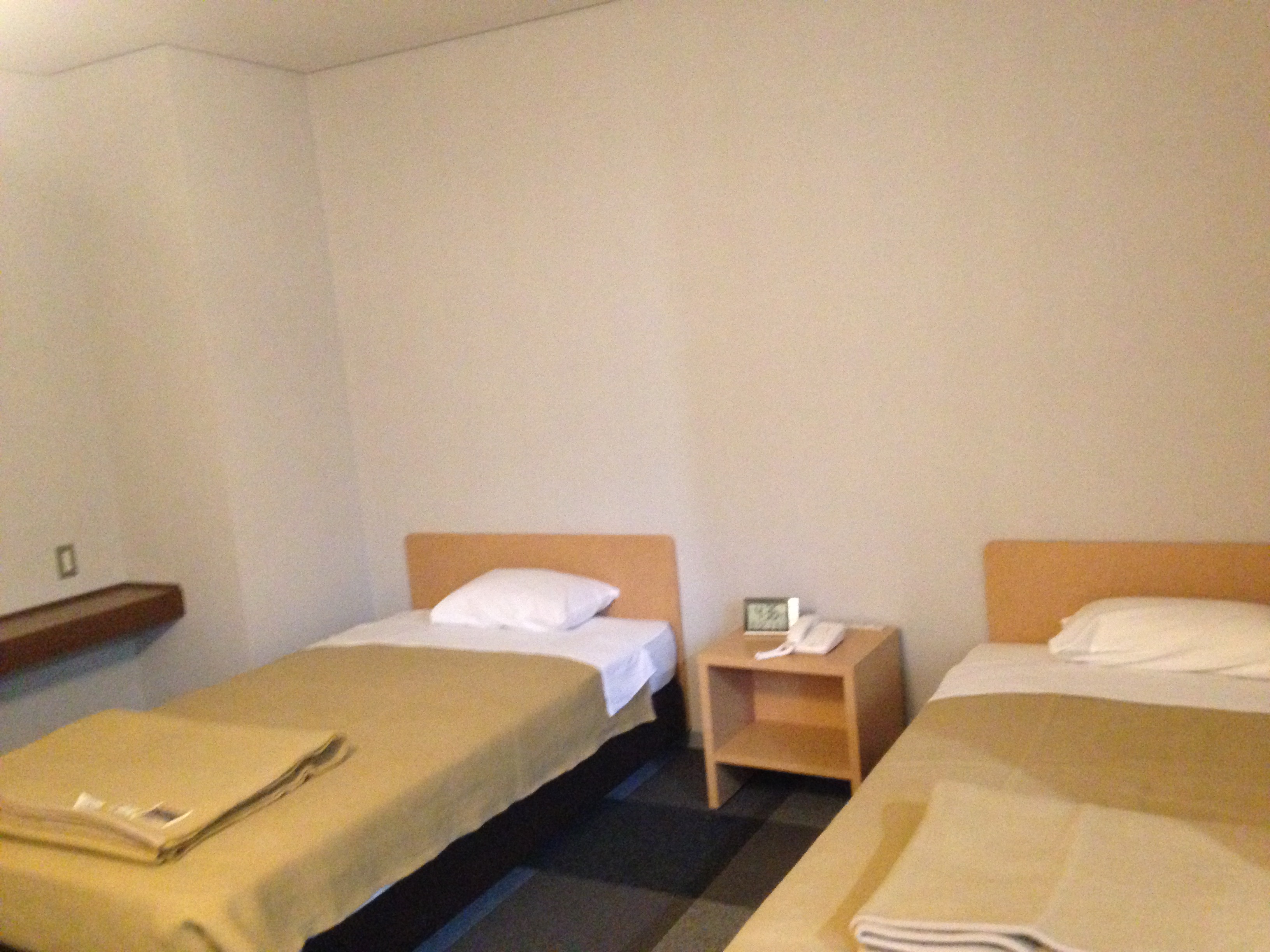 Deluxe twin room.JPG