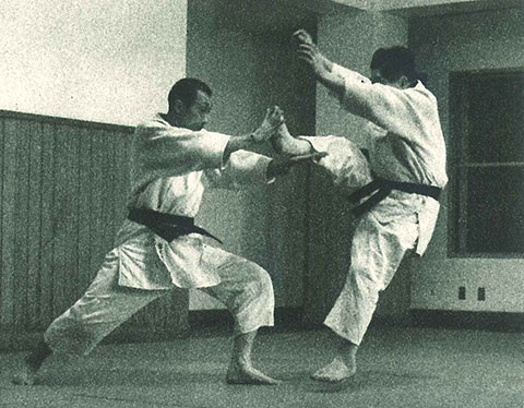 Kodokan Goshin-jutsu